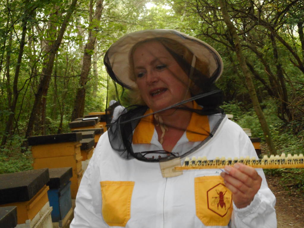 Lenka displays a row of queen bee cells 