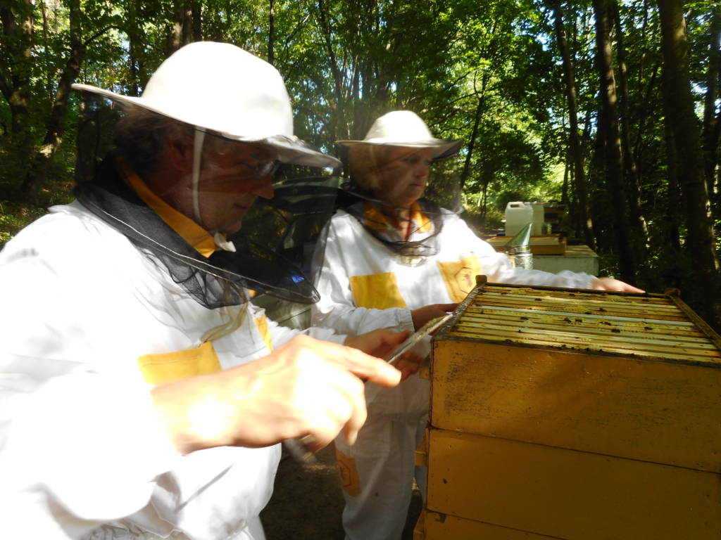 Pavel and Lenka open a hive of our Apis mellifera carnica bees. 