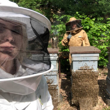 Beekeeping in The Pannonian Plain