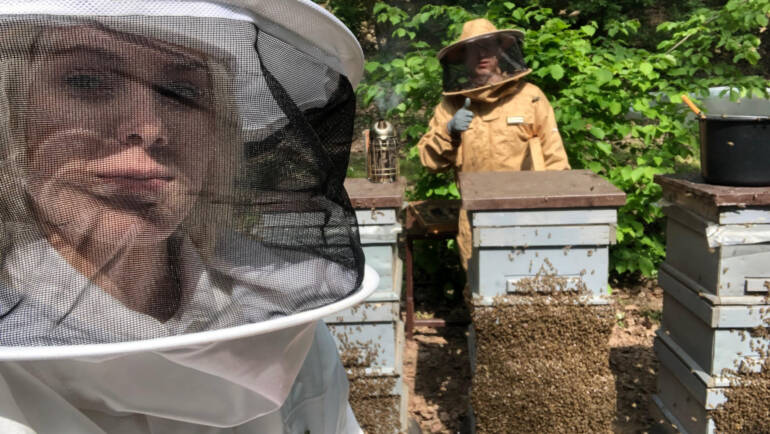 Beekeeping in The Pannonian Plain