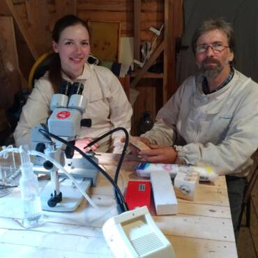 Beekeeping in Latvia