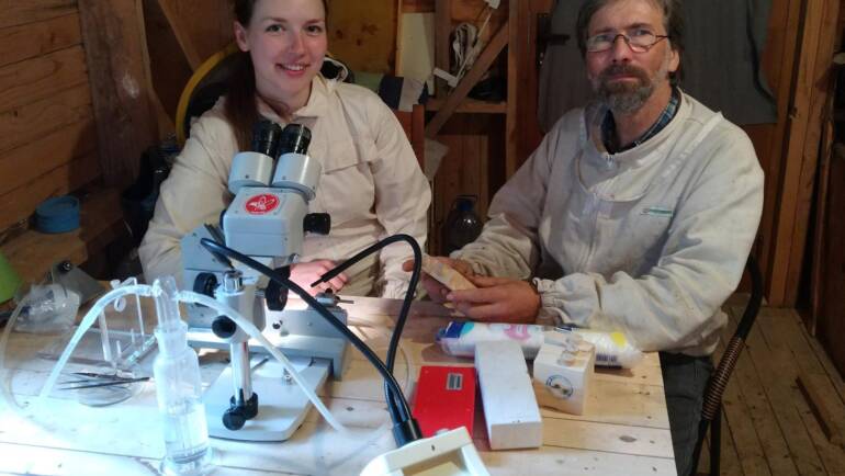 Beekeeping in Latvia