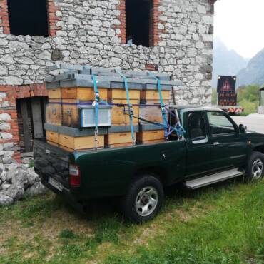 An Enthusiastic Beekeeper from The Italian Dolomites II.